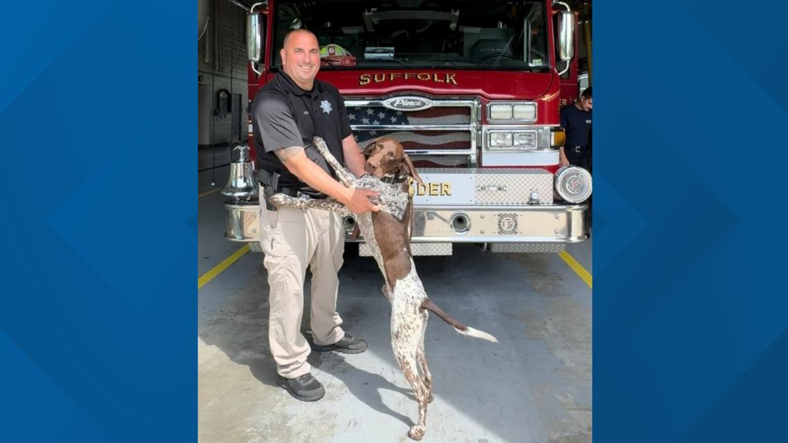 Suffolk's uptick in bomb threats prompts explosive detection dog - Vimarsana News