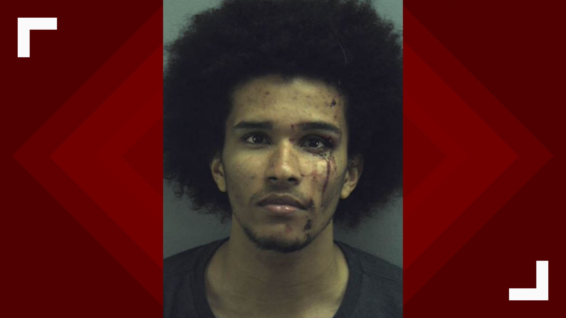 Virginia Beach man pleads guilty to supposedly deliberate 3-car crash ...