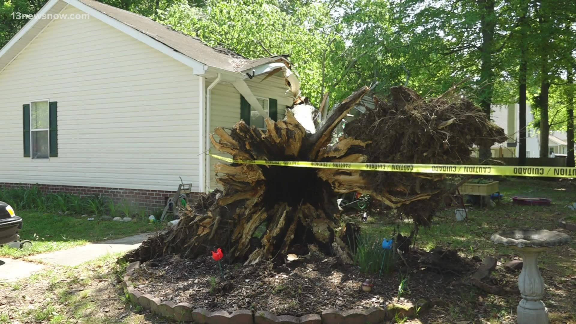 An elderly woman survived after a tree fell on her home in Suffolk. It happened on Burnetts Way when a storm rolled through the area.