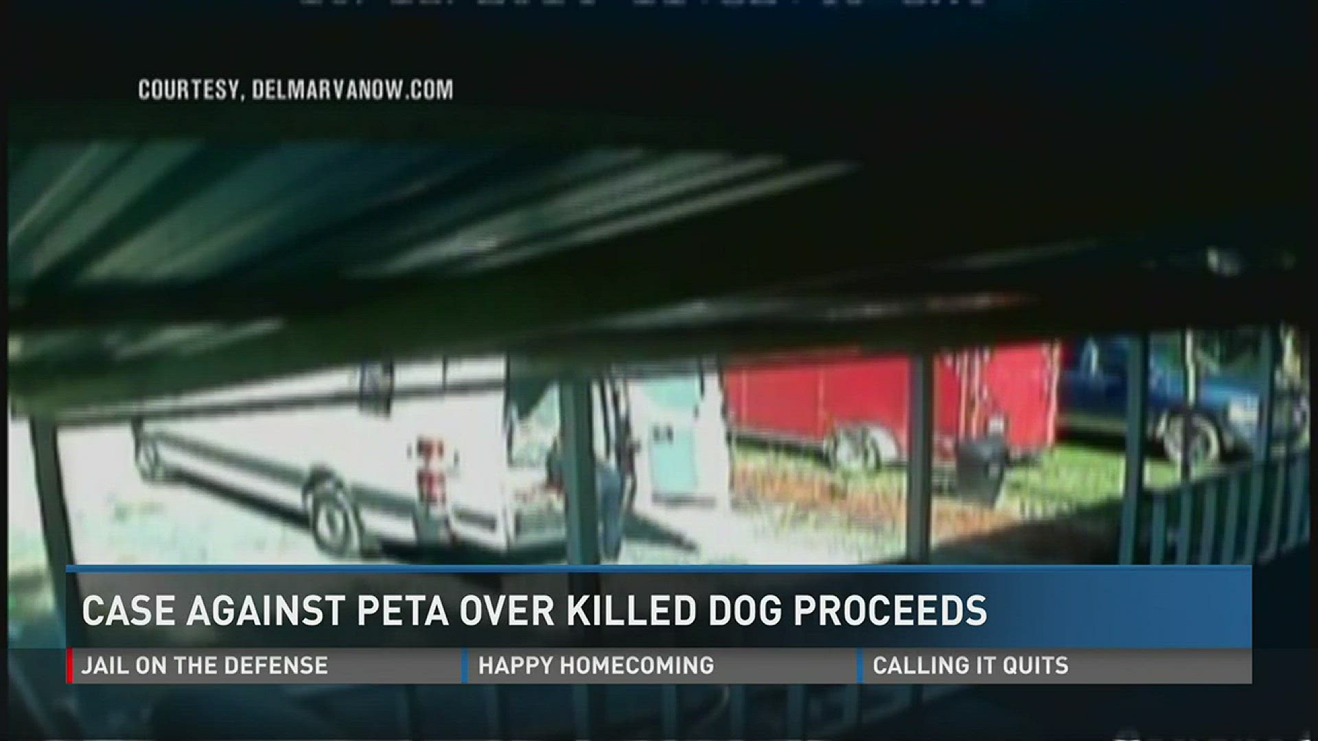 Case against PETA over killed, kidnapped dog moves forward