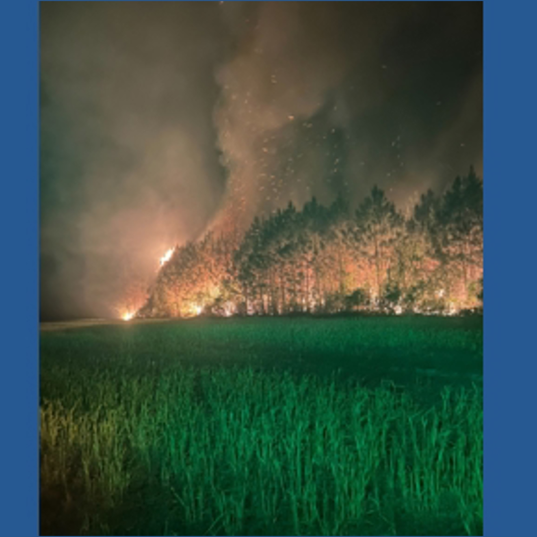 Suffolk firefighters contain two brush fires over two days | 13newsnow.com