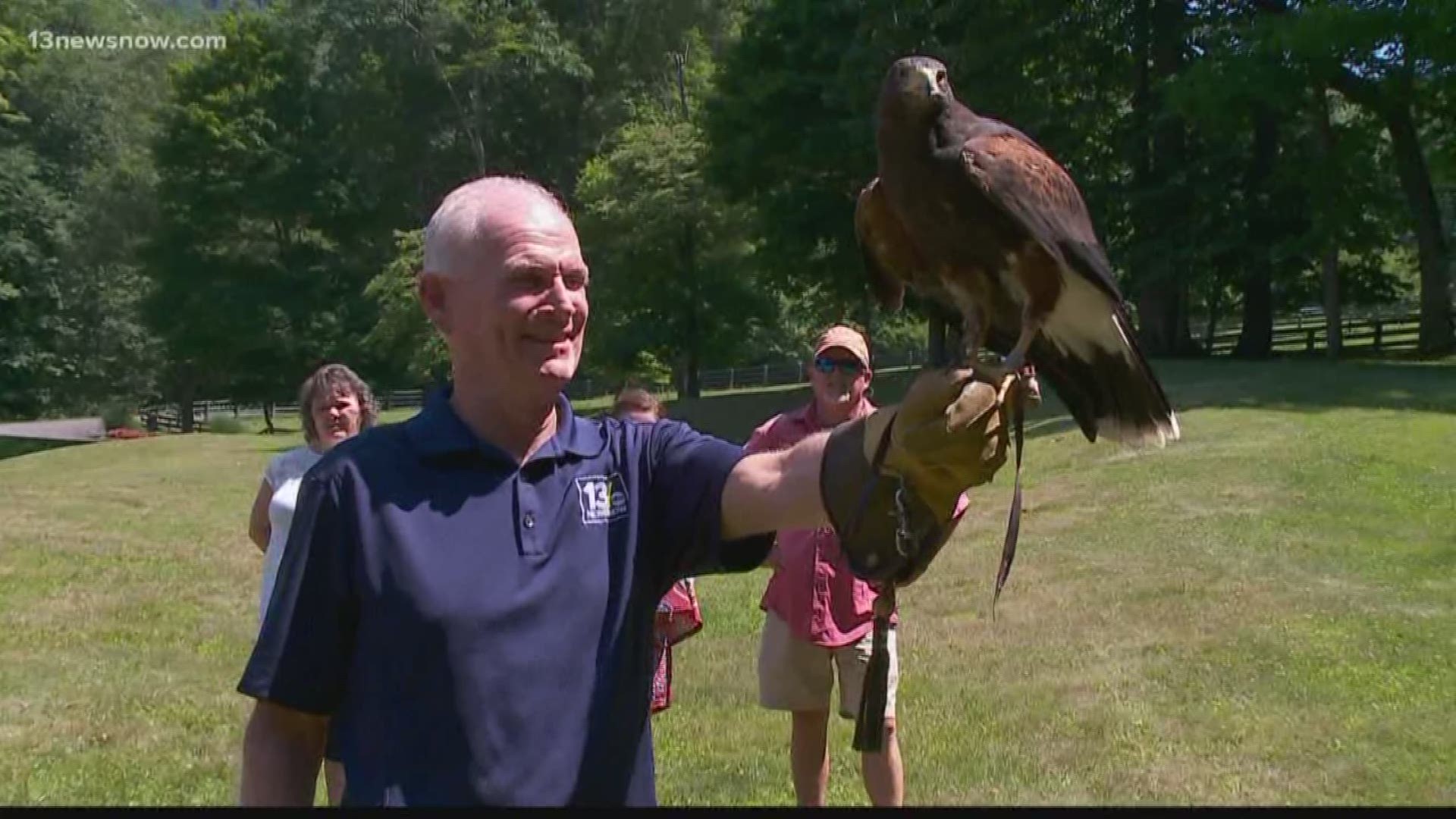 Falconry is the sport in which birds of prey hunt for food. We got an up close look at training, in this case, a hawk.