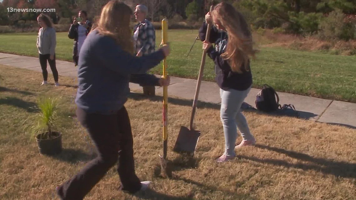 ODU nursing students plant trees to help prevent runoff