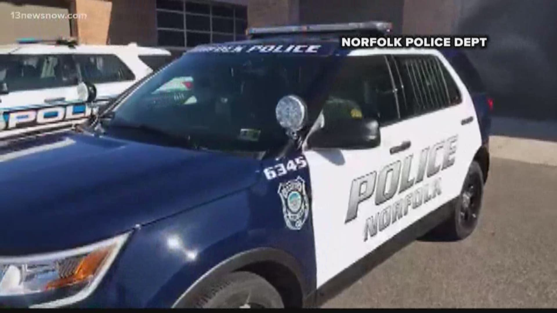 No need to double-check your rear-view mirror; this is what Norfolk's new police cruisers look like.