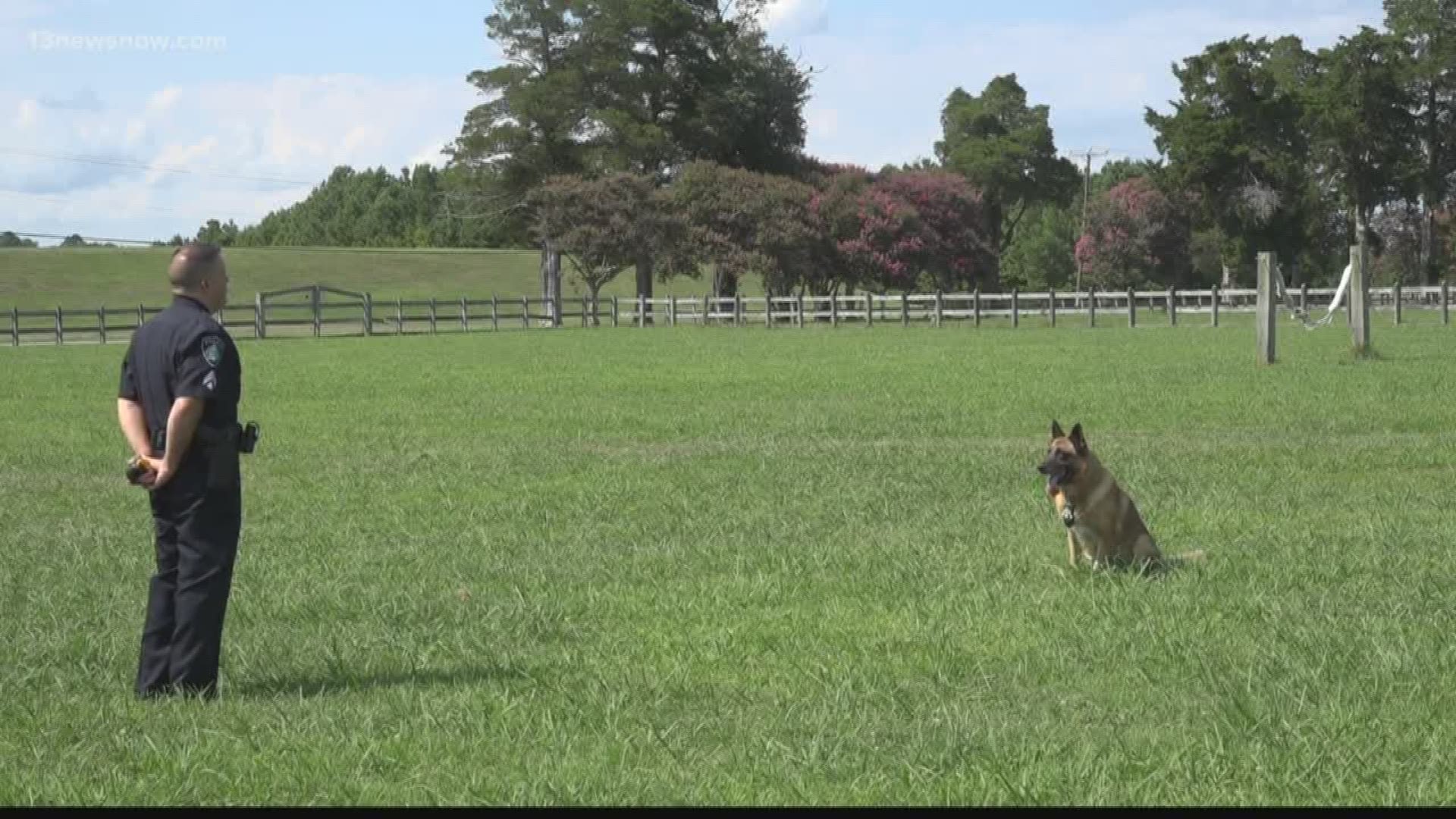 Dan Kennedy looks into how students in Newport News are raising money for retired police K9 officers.
