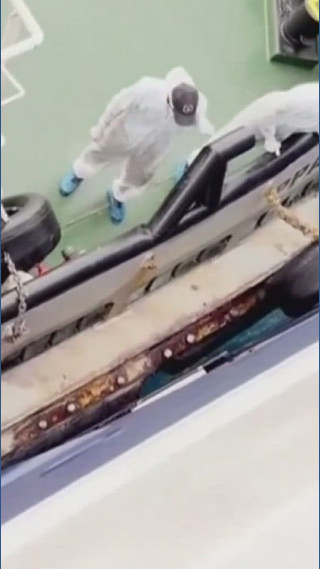 Suspected hantavirus cluster reported aboard cruise ship in Atlantic ...