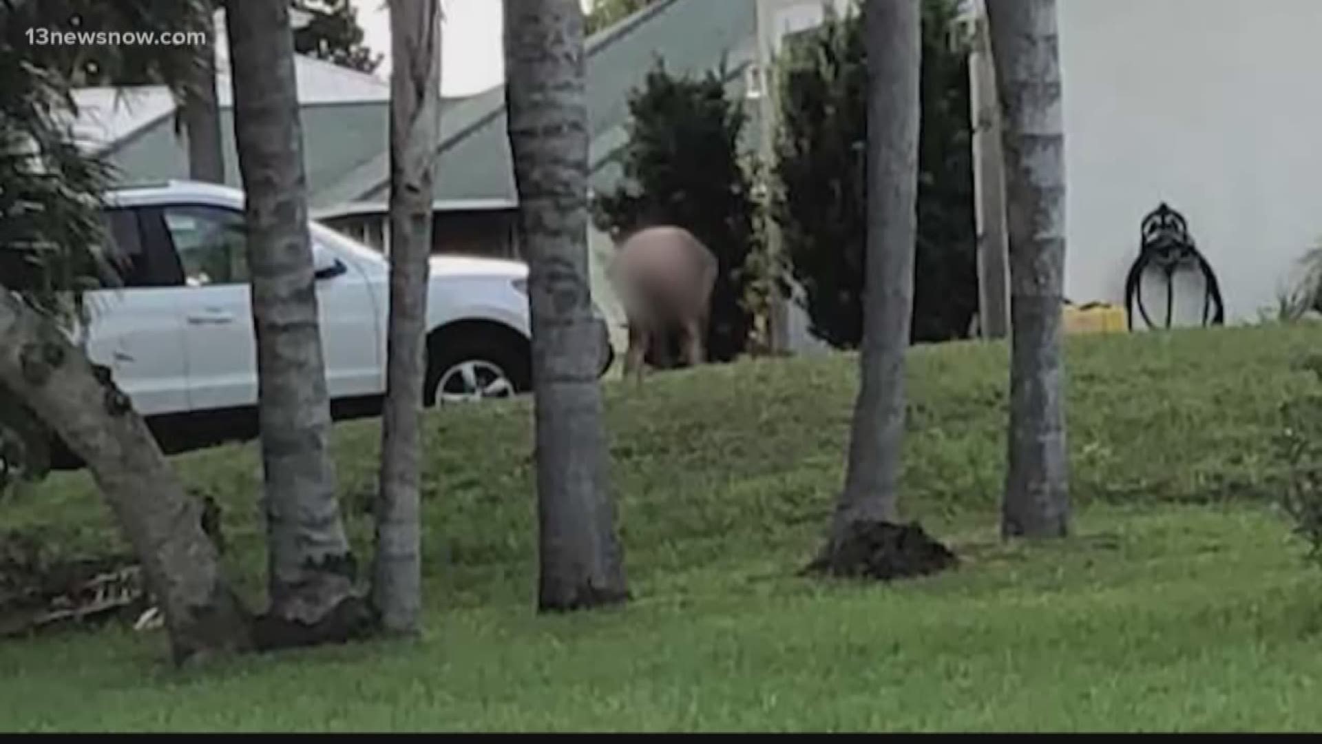 A community is upset in Florida because one neighbor is doing yardwork in the buff.
