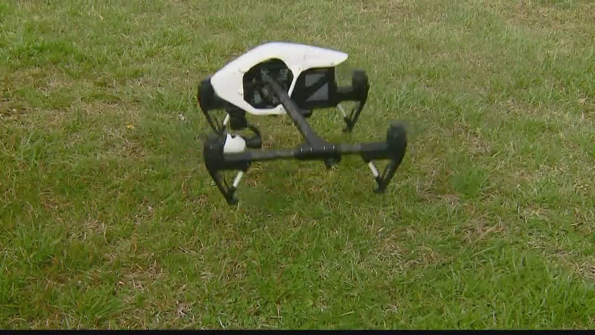 Verify: Can a drone fly over my backyard?