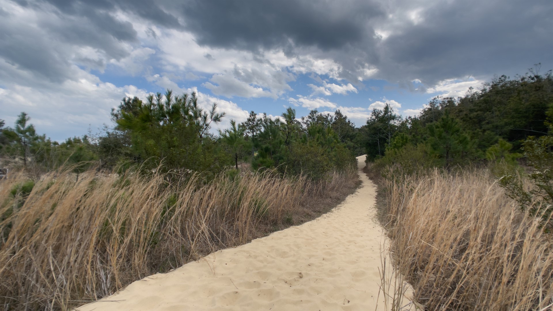 Exploring Jockey's Ridge, a 'living' sand dune on the Outer Banks ...