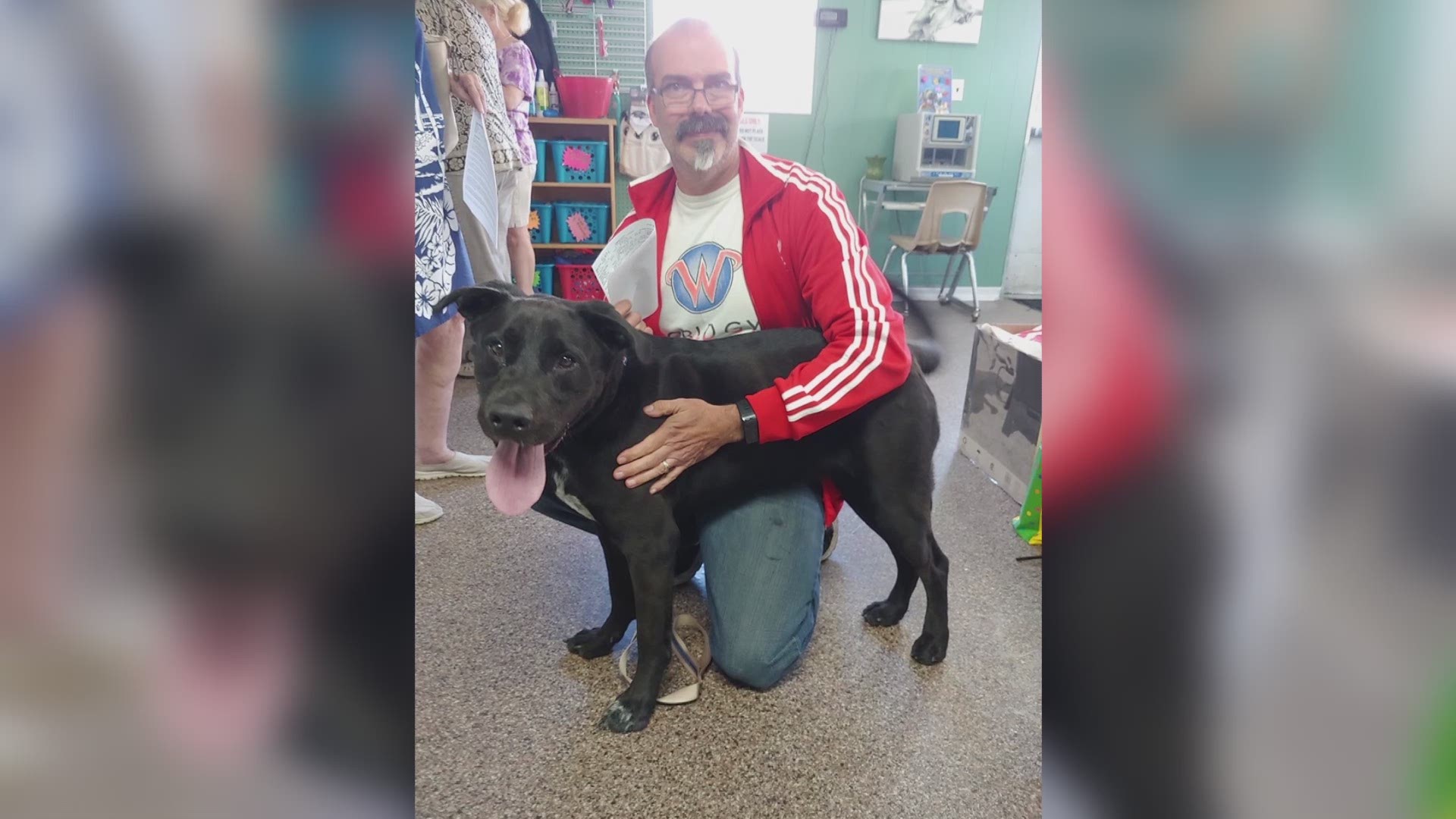 A family fostered Buddy for a day, and when they went back home to New Hampshire they couldn't stop thinking about him. So, the dad drove 13 hours back to Outer Banks to pick Buddy up.