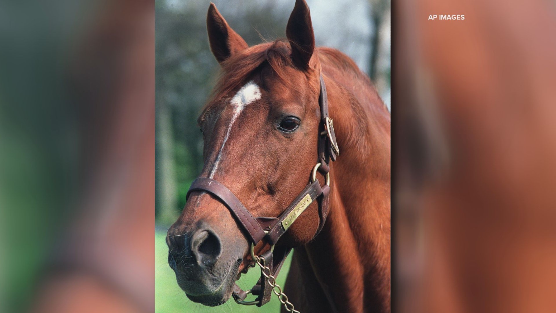 With Ron Turcotte as his jockey, Secretariat still holds the track records from the Kentucky Derby (1:59.40), The Preakness (1:53) and the Belmont Stakes (2:24).