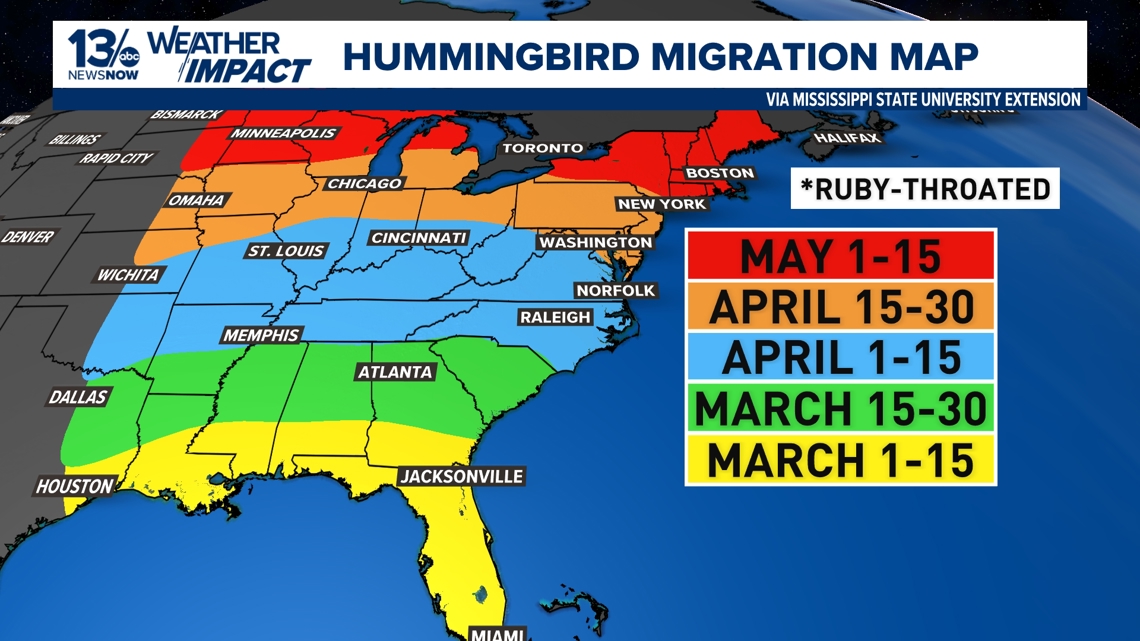 Ruby-throated hummingbirds migrate to US breeding grounds, including ...