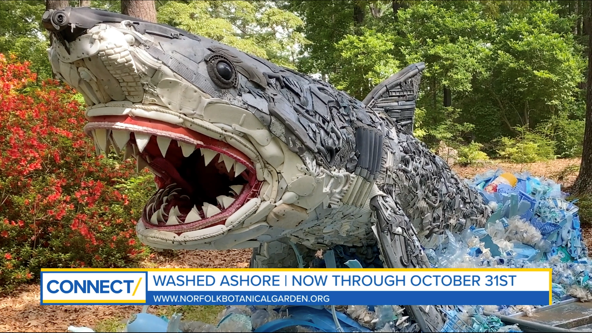 "Washed Ashore: Art to Save the Sea" showcases sculptures made of debris and garbage found in waterways. The exhibit is open now through October 31.