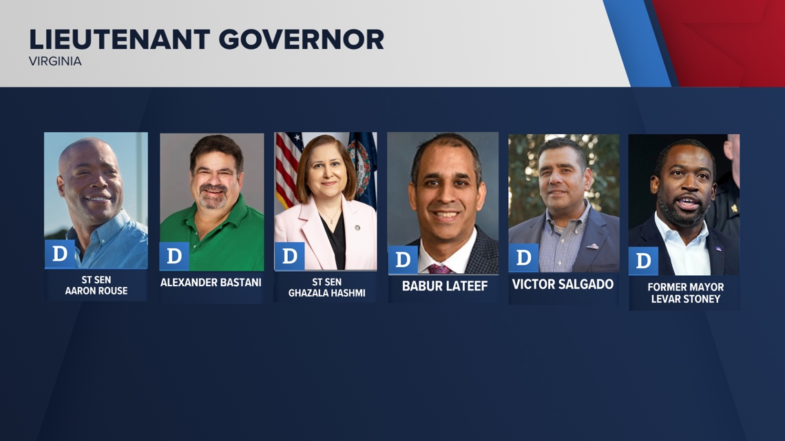 Candidate Q&As: Six Democrats vie for nomination in Virginia's lieutenant governor race