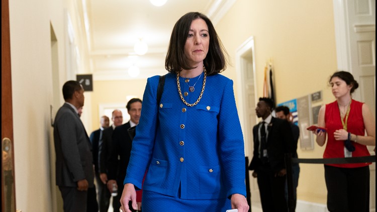 Norfolk City Council approves security funds for Rep. Luria | 13newsnow.com