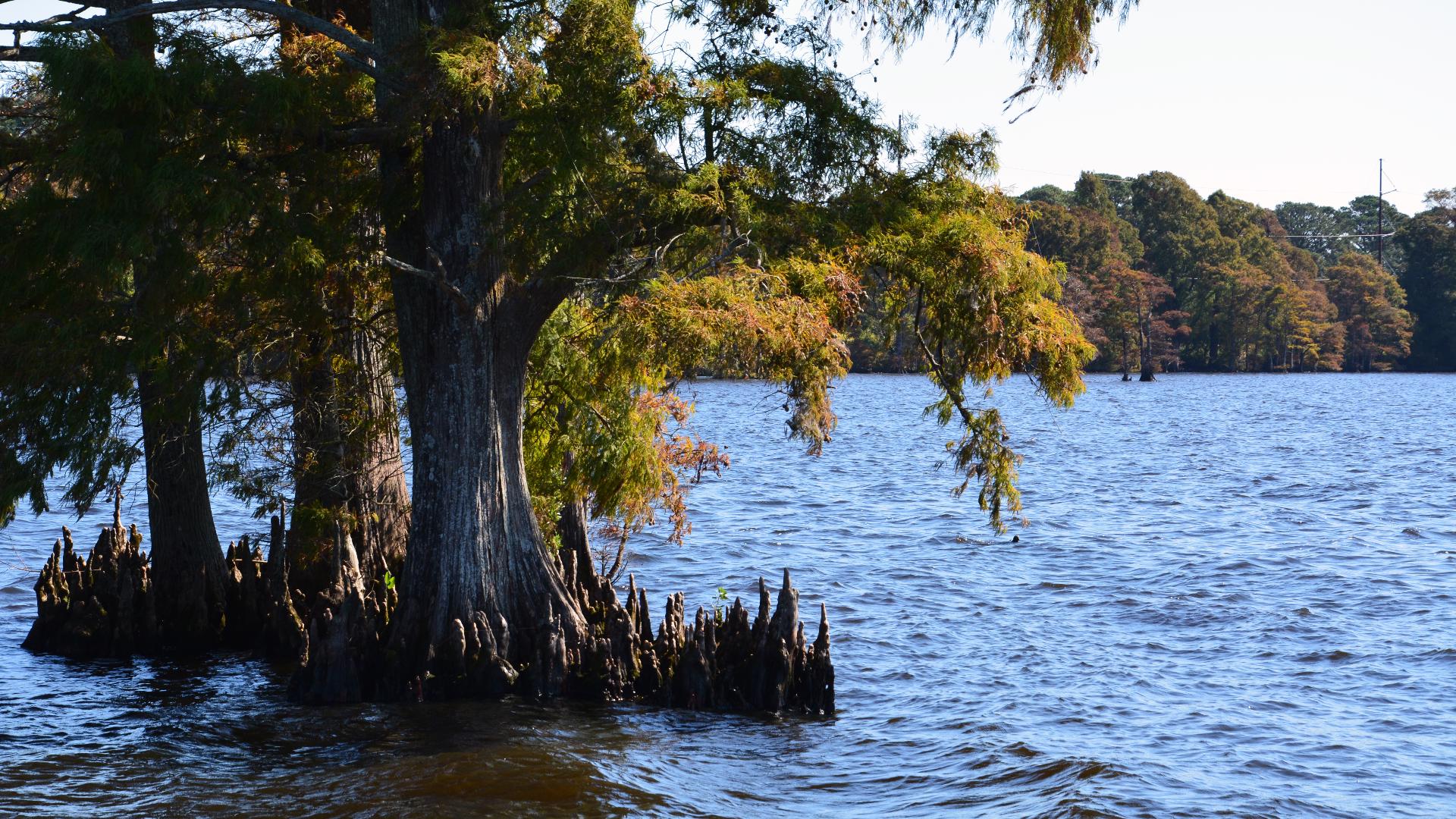 On Saturday, approximately 33,000 gallons of untreated wastewater leaked from its collection system due to heavy rainfall and flash flooding.