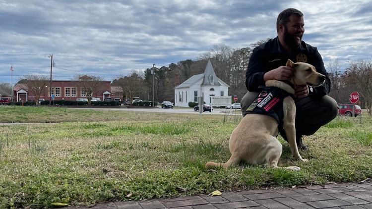 Isle of Wight Sheriff’s Office's yellow lab is 1 of 4 electronic detection K-9s in Virginia
