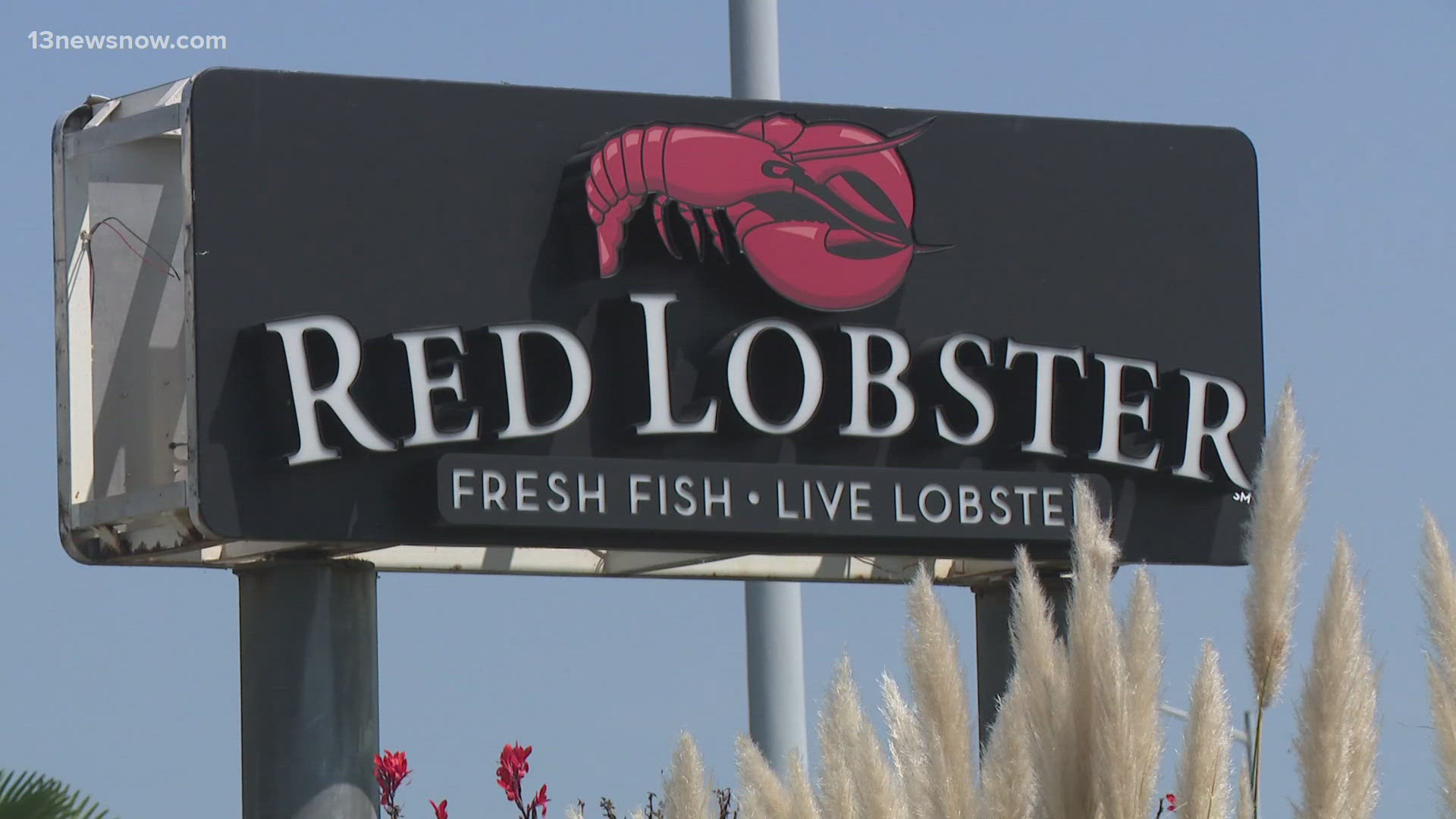 Red Lobster is closing two dozen more restaurants, including the one on Independence Boulevard in Virginia Beach.