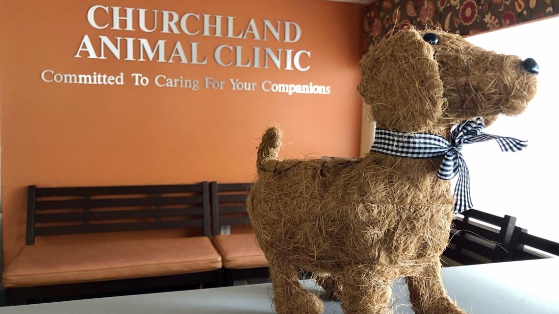 Animal clinics in Hampton Roads overwhelmed from influx of new patients - Vimarsana News