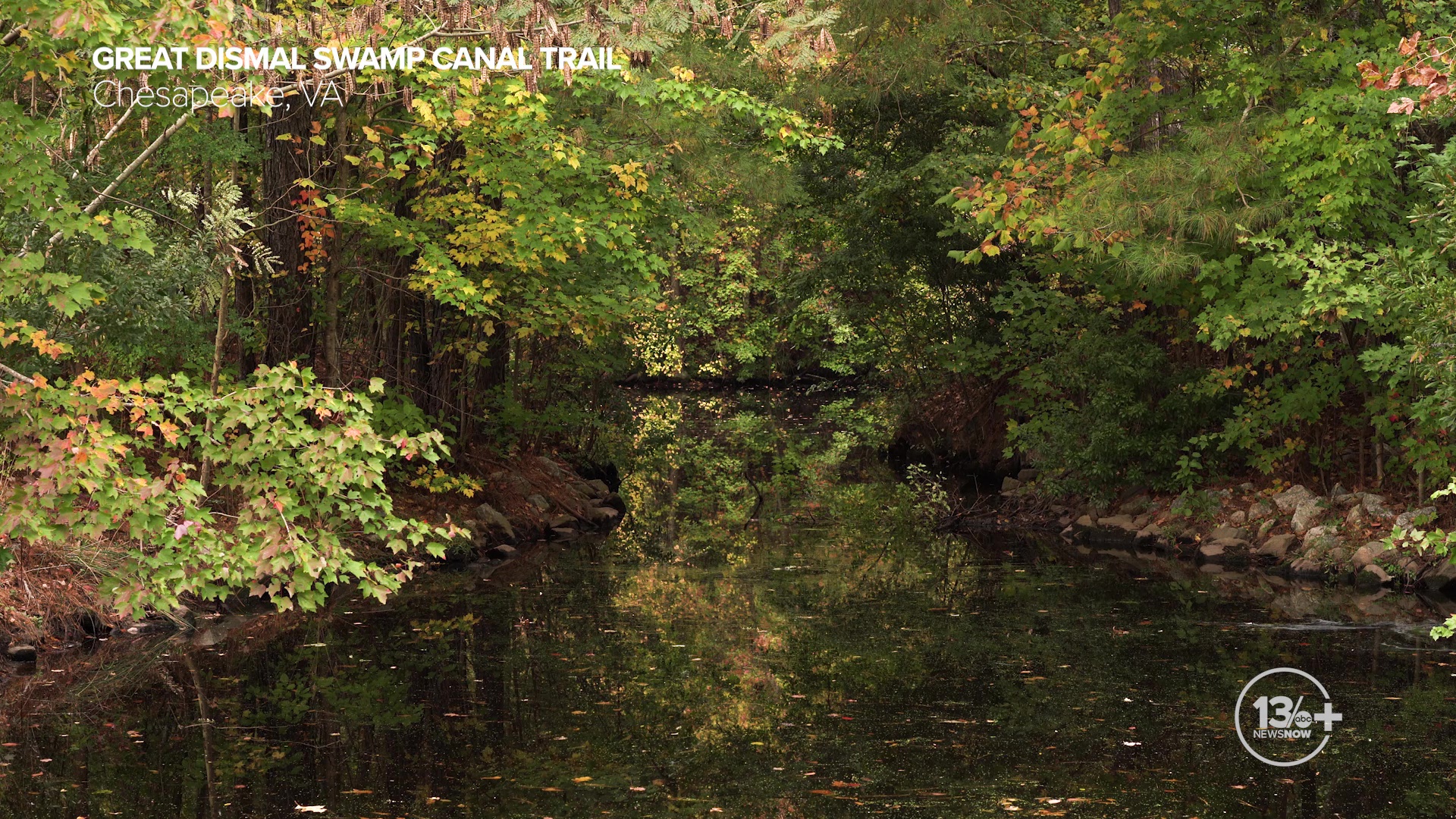 Chesapeake's Great Dismal Swamp canal trail in the Fall.