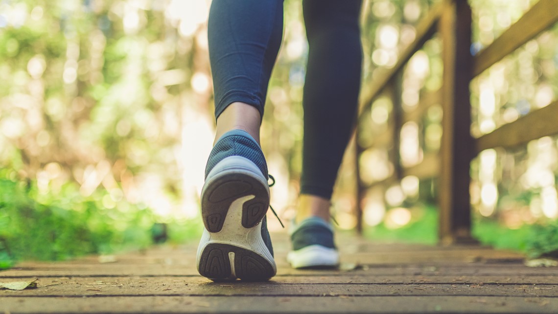 The 2023 Hampton Roads Heart Walk in November - Vimarsana News