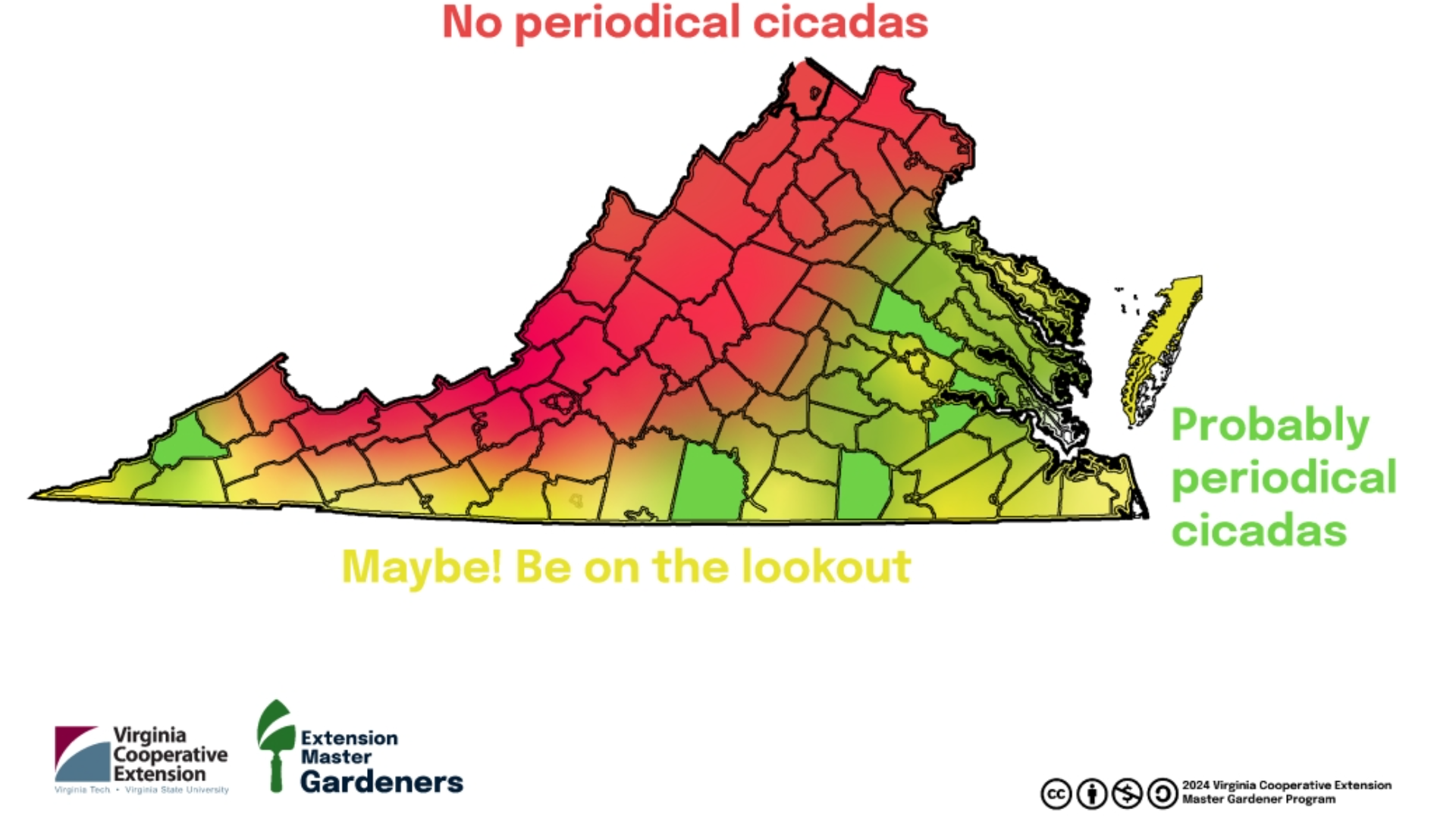 When are cicadas coming to Virginia in 2024?