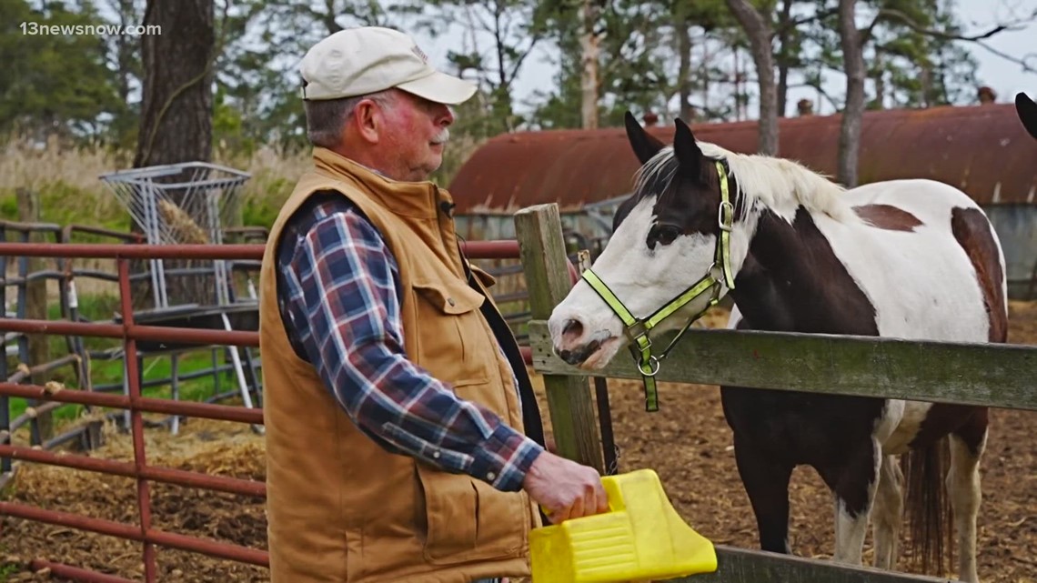 Beloved Chincoteague horse ranch to be preserved through museum ...