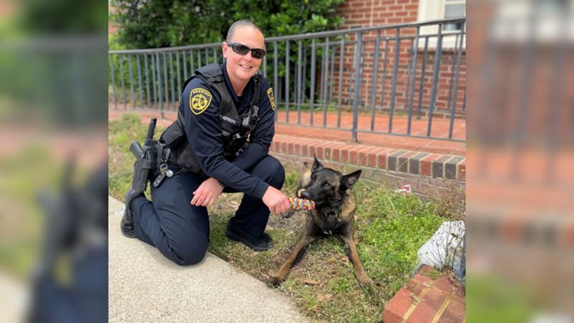 Virginia Beach Sheriff's Office welcomes K-9, 3-year-old Apollo - Vimarsana News