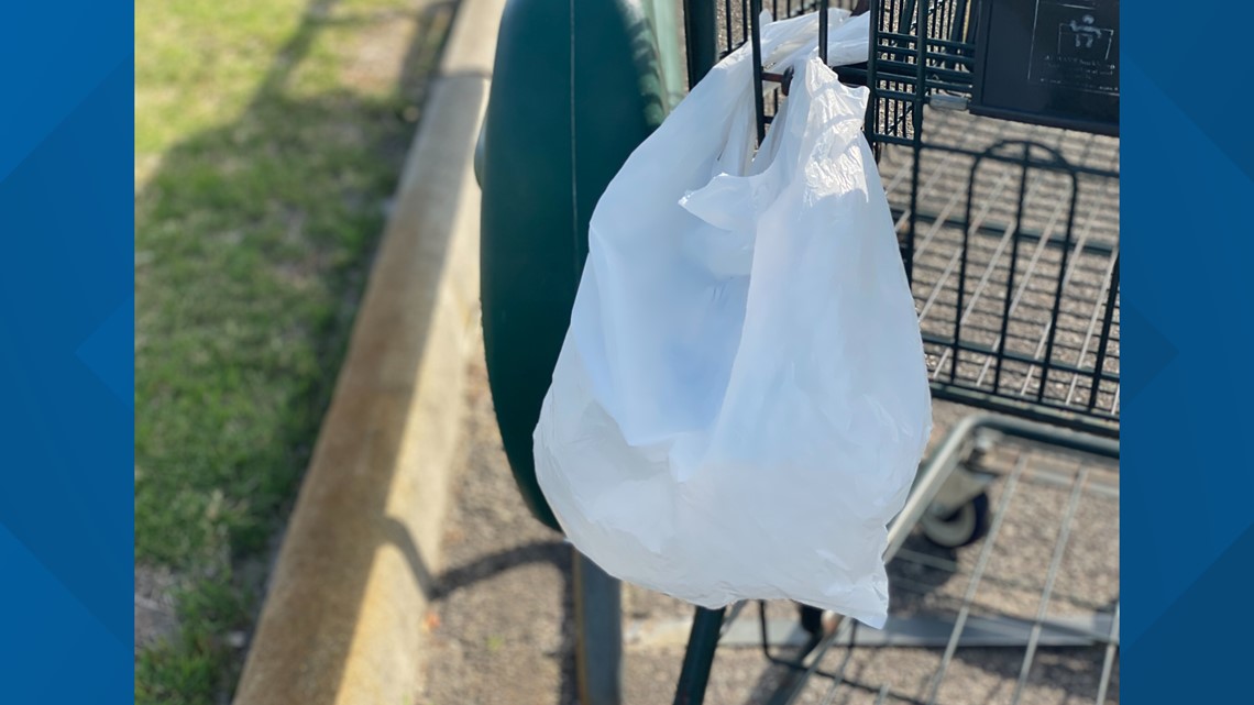 Plastic Bags Are Out and Paper Is In for Yard Waste, Fairfax County Says