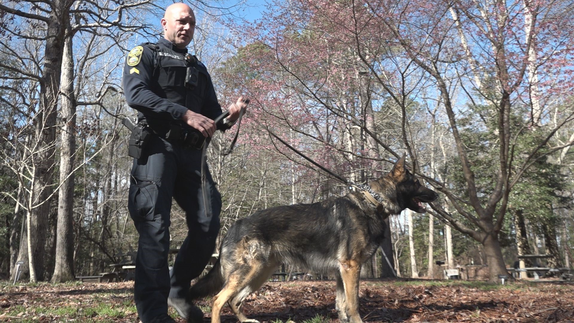 York-Poquoson Sheriff's Office K-9 dies after battling with terminal ...
