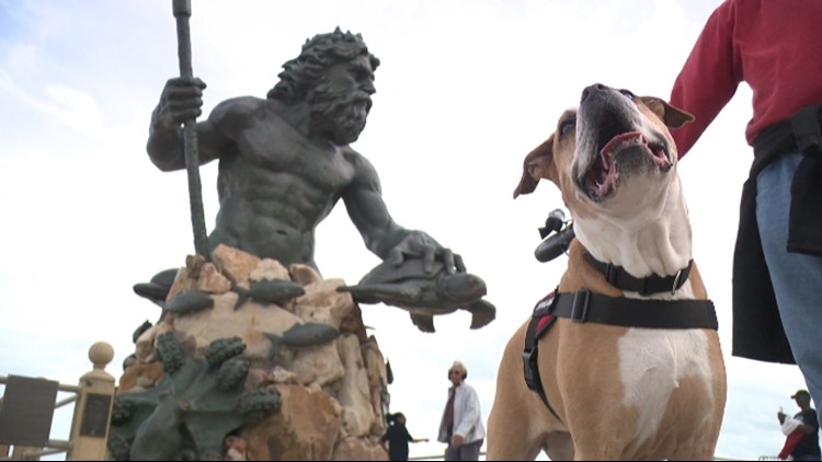 Virginia Beach City leaders will vote on longer dog walking hours on the boardwalk in the summer next week