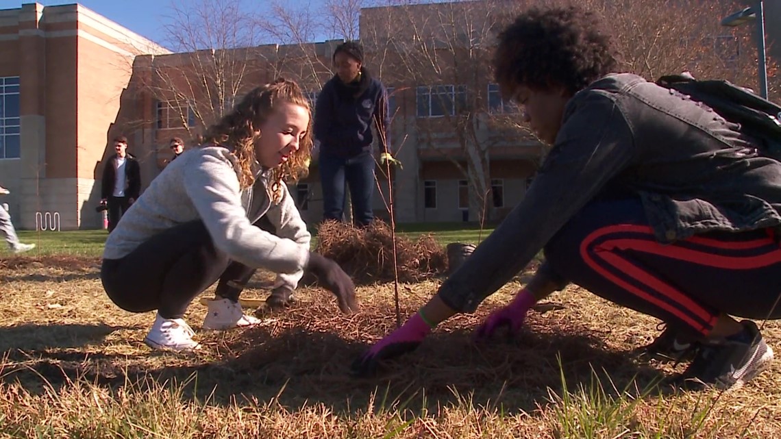 ODU nursing students plant trees to help prevent runoff - Vimarsana News