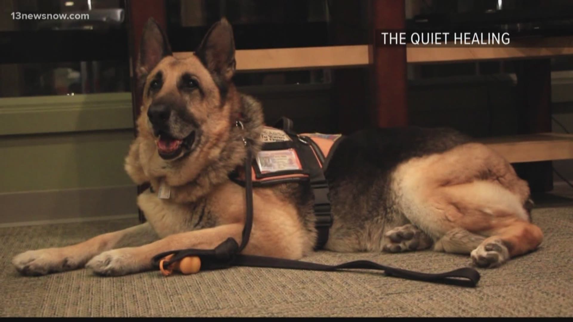 A former sergeant in the U.S. Army was severely injured while on deployment and says his first service dog helped save his life. A film crew is turning his story into a documentary to spread awareness and make a difference in the lives of other veterans.