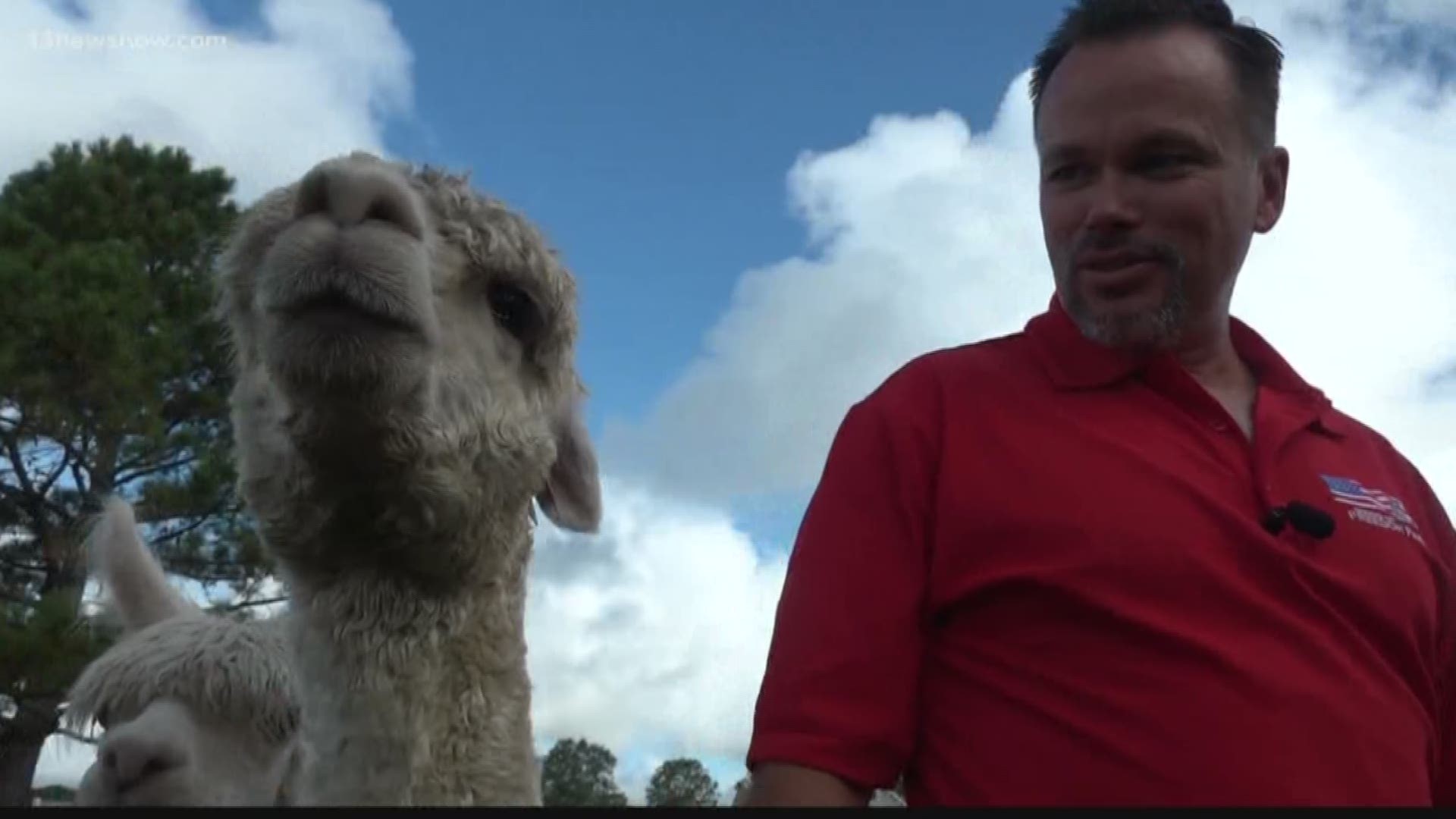 Sound of Freedom Farm owner Will Burney said jet engines inspired the patriotic name of his alpaca business in Virginia Beach.