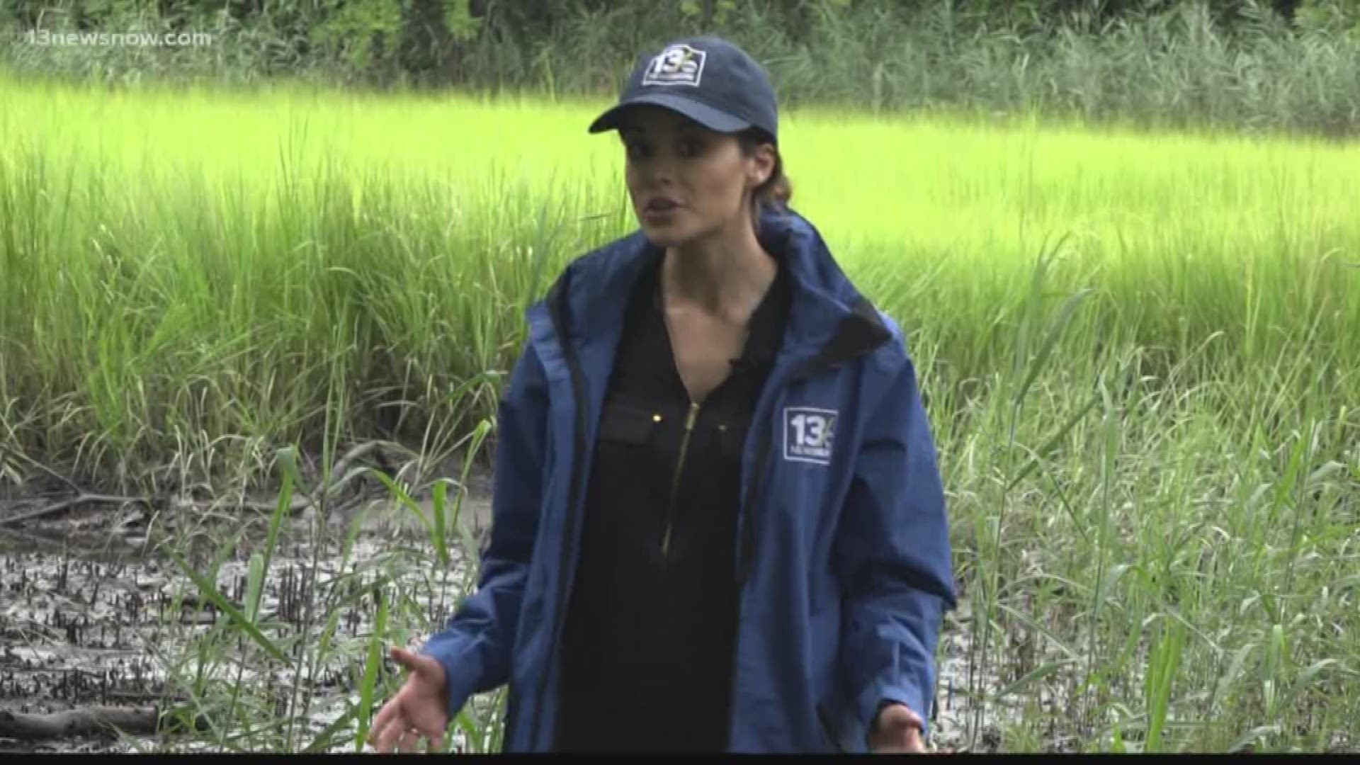 Playing in flood water can be dangerous for many reasons.