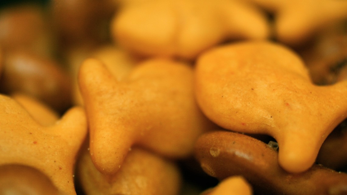 We Tried The New Old Bay-Flavored Goldfish