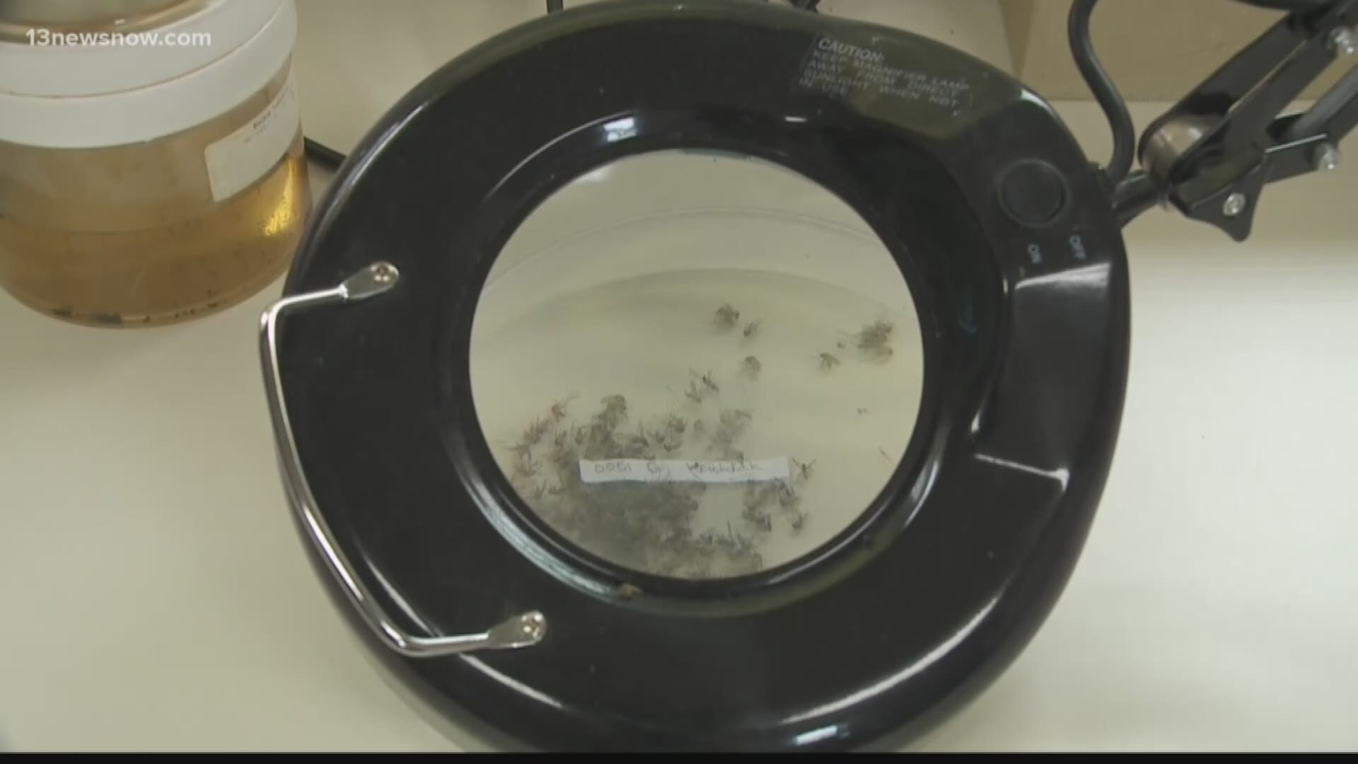 A mosquito sample collected at a local military base has tested positive for West Nile Virus