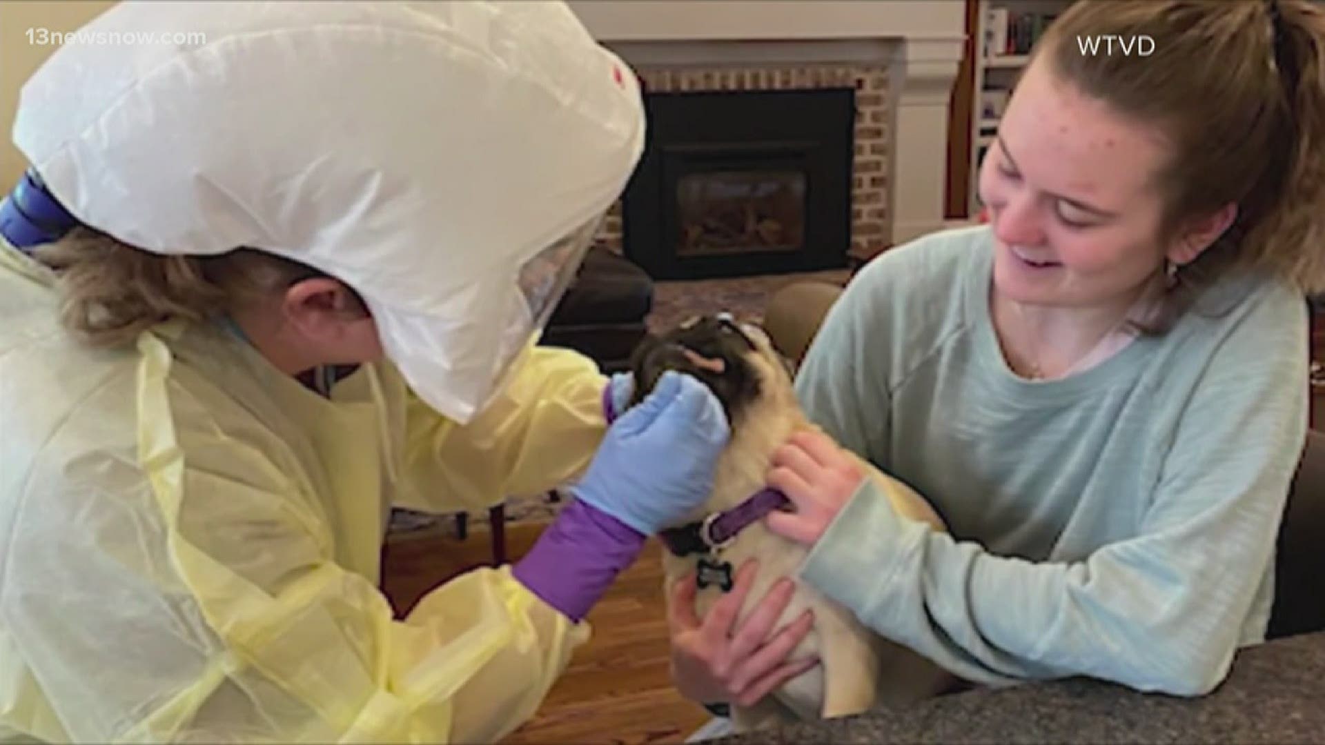 A family in North Carolina is now experiencing four cases of coronavirus under one roof: the mother, father, son... and their dog.