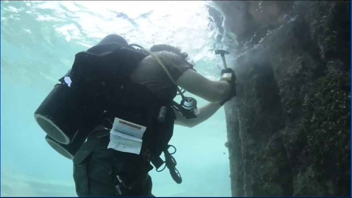 Navy Underwater Construction Teams, the Seabees, celebrate 50th anniversary of 1974 establishment - Vimarsana News