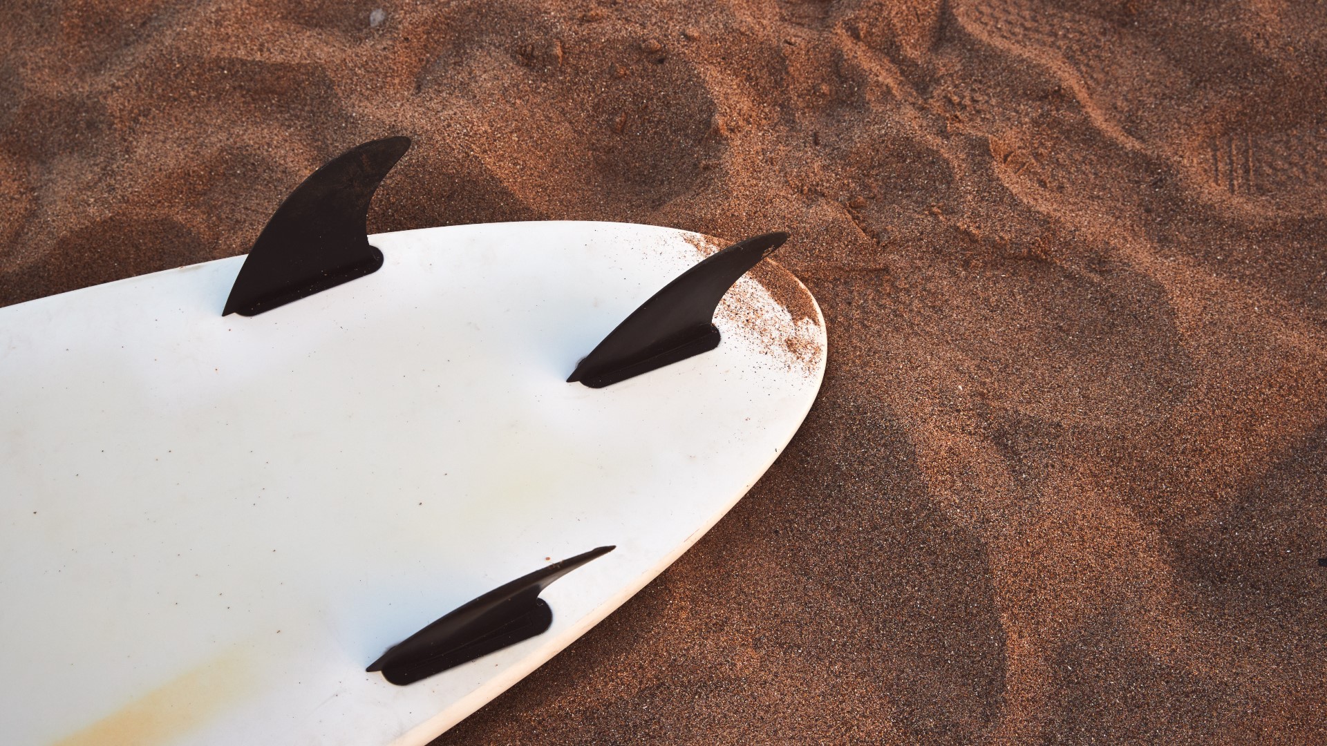 Surfboards available at Virginia Beach Public Library to borrow