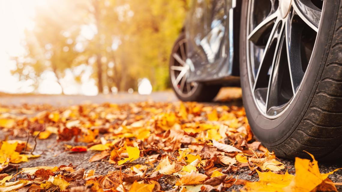 Fall driving hazards: Wet leaves and sun glare require extra caution ...