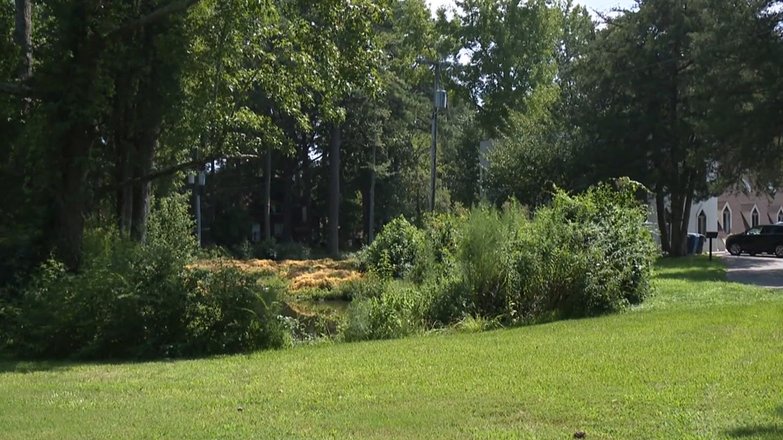 Great Neck neighbors speak out to preserve Virginia Beach lake - Vimarsana News