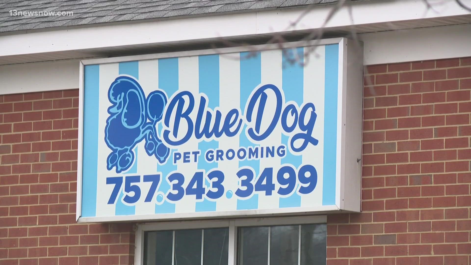 The owners of Blue Dog Pet Grooming in Virginia Beach pleaded guilty to 15 criminal charges of not providing adequate care to their pets.