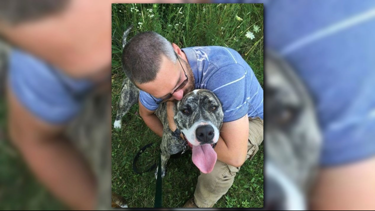 Iraq War vet fighting in Michigan court to save dogs from euthanasia |  